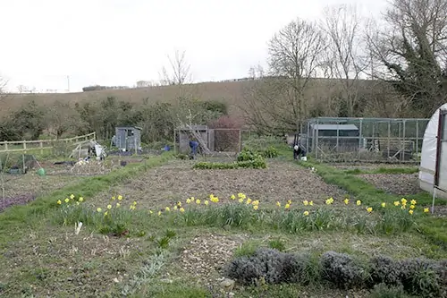 garden plots